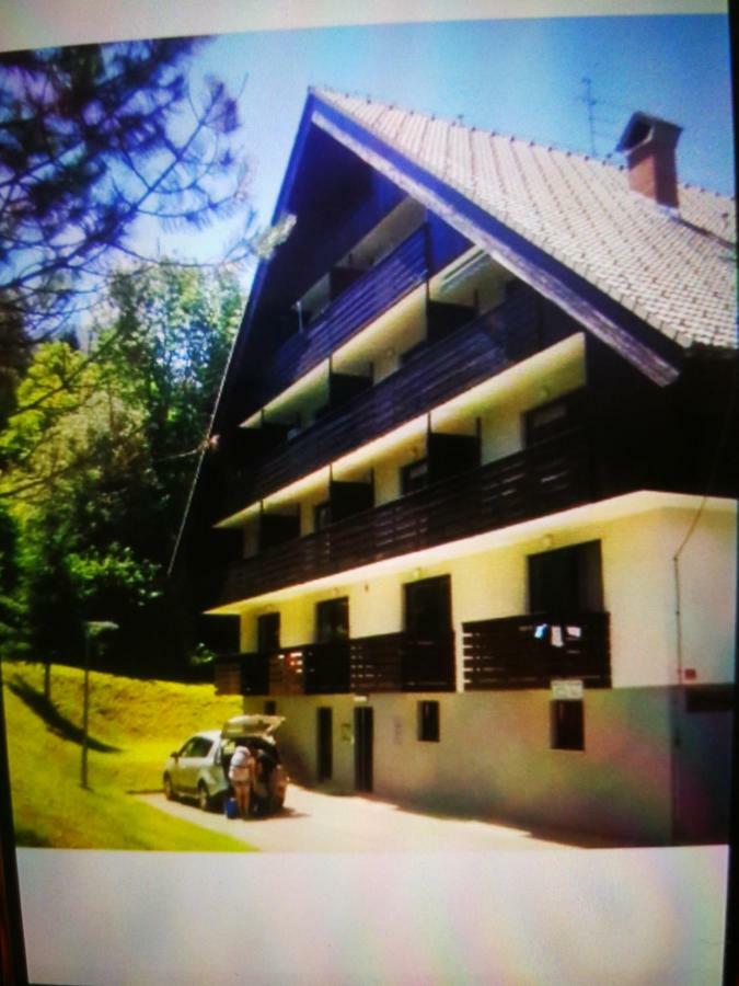 Planika B&M Apartment Bohinj Exterior photo